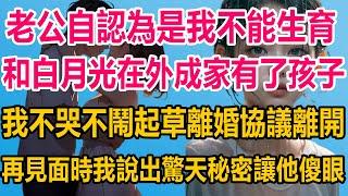 老公自認為是我不能生育，和白月光在外成家有了孩子，我不哭不鬧起草離婚協議離開，再見面時我說出驚天秘密，讓他傻眼#情感故事 #情感 #婚姻 #分享 #家庭#爽文 #爽文完结