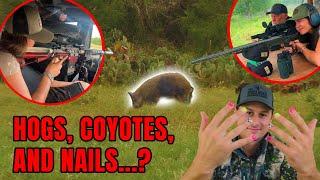 California Girls Hunt Hogs in Texas | PART 2