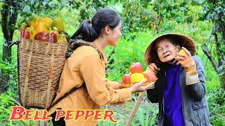 Colorful fried rice made from plump bell peppers. Grandma Care