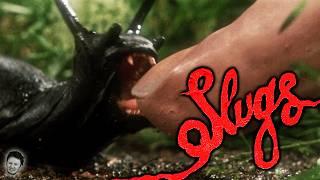 The Disgusting Horror of SLUGS