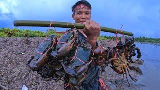 Amazing.. !! The Traditional Way of Catching Lots of Big Mud Crab In The Swamp