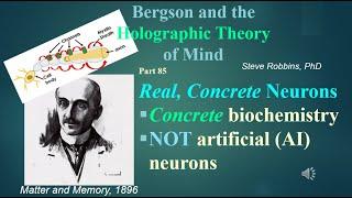 Bergson Holographic - 85 - Koch's Cell Types destroy AI