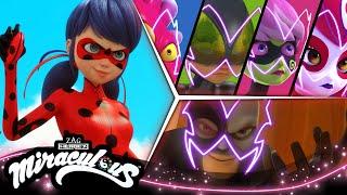 MIRACULOUS |  Akumatisierung - Kompilation 1  | STAFFEL 4 | Geschichten von Ladybug und Cat Noir