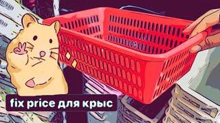 Покупки из Fix Price для крыс 