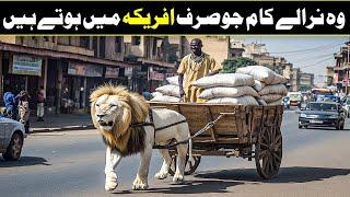 8 Interesting Facts Of Africa You Wont Bellerive In Urdu Hindi