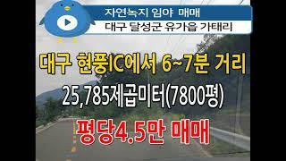 n642, 대구 달성군 유가읍 가태리 자연녹지 임야 25,785제곱미터(7800평) 매매, 평당4.5만, 문의:010-4750-7880 #대구임야 #유가읍임야 #자연녹지임야