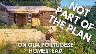 Why Our Homestead? Nature Has Its Own PLAN!