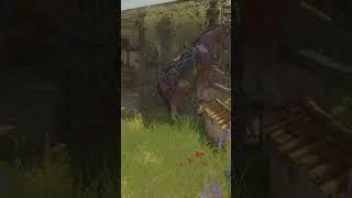 And another one #gaming #thewitcher #games #gamer #gameplay #roach #gains #gymroach