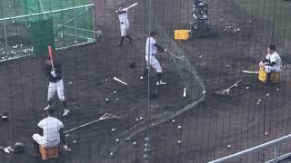 近畿大学硬式野球部練習風景