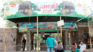 Lahore Zoo | Tour | Arif Vlogs | one of the largest zoos | 4k video