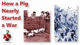 How a Pig Nearly Started a War
