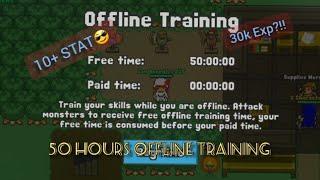 50 Hours Offline Training - Rucoy Online