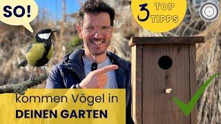 Mach deinen Garten zum Vogelparadies!!!  Die Top 3 TIPPS für Nistkästen