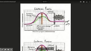 Endothermic and Exothermic Reactions.pdf - Google Drive