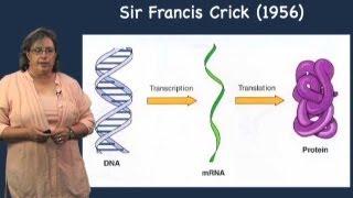 Splicing Overview - Melissa Moore (U Mass/HHMI)