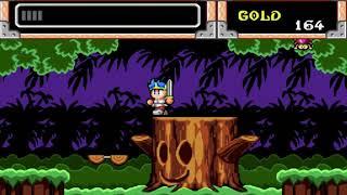 Wonder boy in monster world (Mega Drive) - All secrets