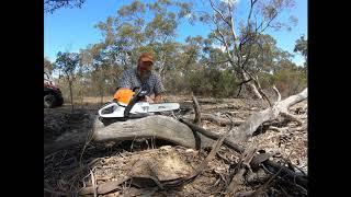 STIHL MS362C cutting Australian hardwood review with Julian Murphy