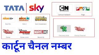 Cartoon Channel Number In Tata Sky - Tata sky Pogo ,Nick , Cartoon Network Channel List