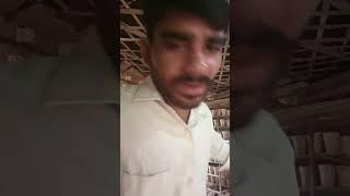️ham the aise safar pe chale #hindisong #bollywood  Rinku prajapati up 76️️