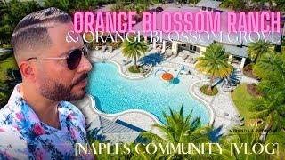 AFFORDABLE Naples new construction - Orange Blossom Ranch & Grove