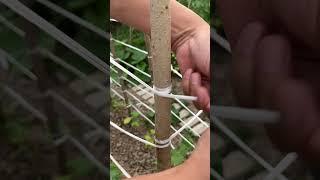 Just Genius! Strong & Easy Knot for Garden Use!