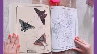 The Beautiful Nature Coloring Book Flip Through