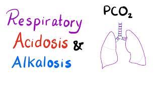 Respiratory Acidosis & Alkalosis | Acid-Base Imbalance