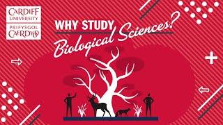 Cardiff University - Biological Sciences Degree Course Animation (English)