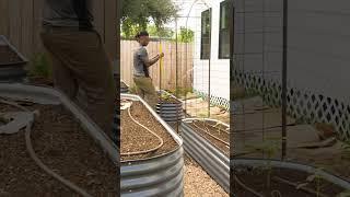 Grow up | Garden Transformation