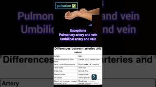 Difference between Artery and vein #shorts #ytshorts #artery #medicaleducation