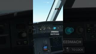 ILS Approach Tutorial - Airbus A320 NEO