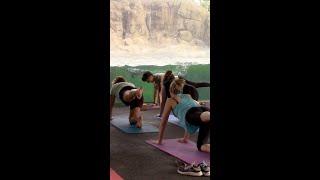 Practice Yoga with the Penguins!