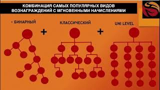 Маркетинг-план сетевой компании Whieda за 10 минут