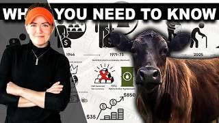 ‼️SHEEP, COWS & THE DEVALUED DOLLAR (what you need to know about your money) SHEEP Cattle Ranching