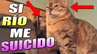 SI TE RÍES PIERDES (NIVEL MUERTE)