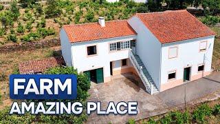  SOLD | Amazing Farm for sale | 1.2 hectare of land | Central Portugal