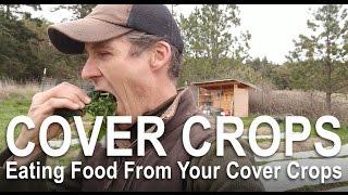 HARDEST Way to Prepare Garden Beds Using Covercrops