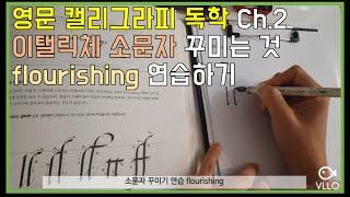 영문 캘리그라피 독학 Ch.2 이탤릭체 소문자 플러리싱 flourishing | Calligraphy