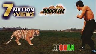 Bruce lee afghan HD video