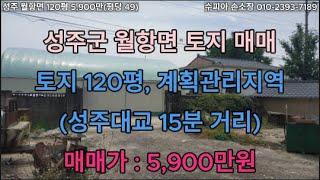 성주군 월항면 120평 5,900만 전원주택지 창고용지 매매 - 성주부동산매매