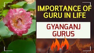 Vishuddhananda paramahansa explains the importance of guru in spiritual path