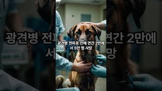위험한 동물 순위 TOP 10 #shortsyoutube