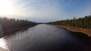 Remote Maine Moose Hunt | Late October on the Saint John