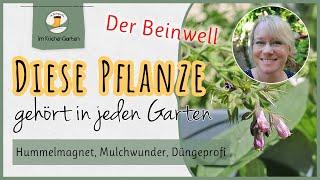 Diese Pflanze kann alles  und gehört in jeden Naturgarten 