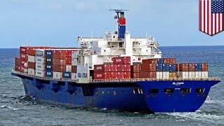 El Faro cargo ship sunk: Body found in search for missing cargo ship - TomoNews