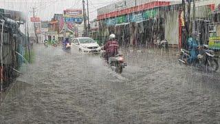 Super Heavy Rain Hard Wind Cold Running In Heavy Rain Fast Sleep With Heavy Rain Sound ASMR