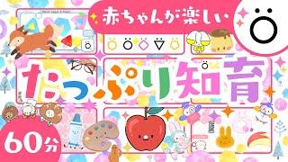 【赤ちゃん泣き止む】赤ちゃんが笑うたっぷり知育つめあわせö│泣き止む アニメ│こどものうた【知育】