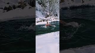 Felix Albus, bath in frozen mountain river, Wim Hof method, December 2024