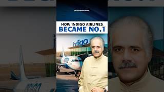 The Genius Behind Indigo’s Success