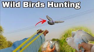 slingshot Hunting || Dove || Pigeon & Rosy Starling || hunting perfect dead shot !